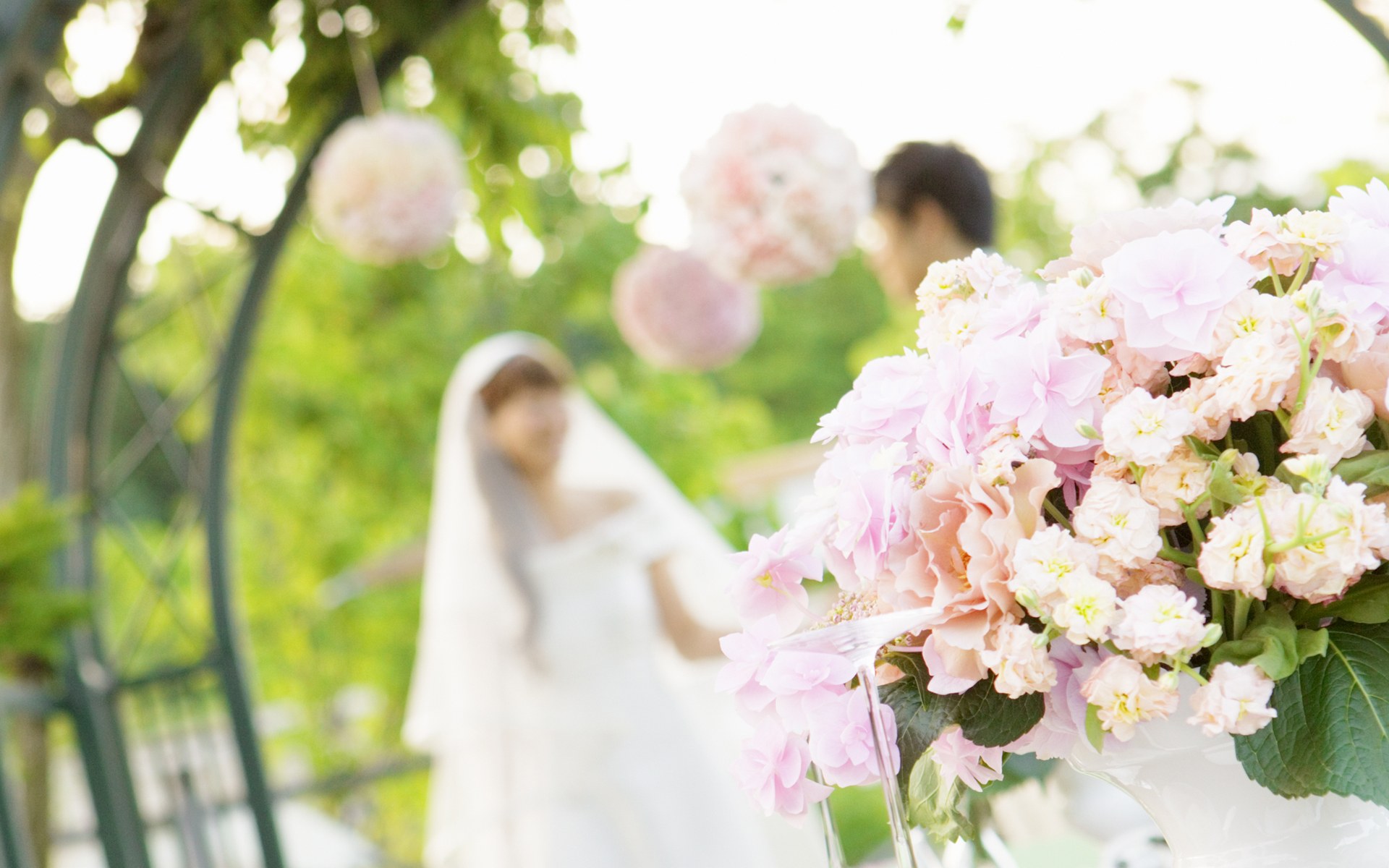 6815303-wedding-pictures
